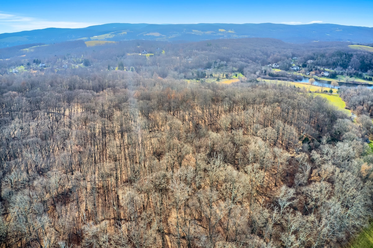 Land for Sale in Warwick NY - 146 Pine Island Turnpike