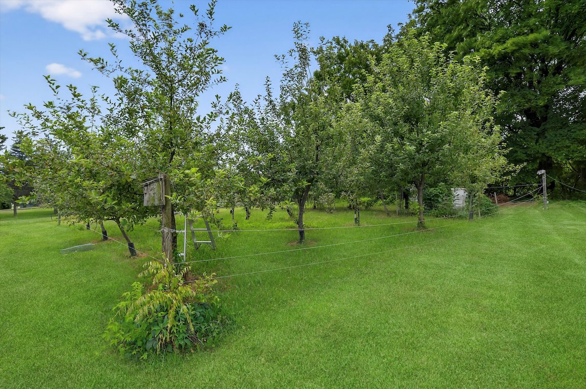 43 Legion Road, Pine Island, NY Fruit Trees