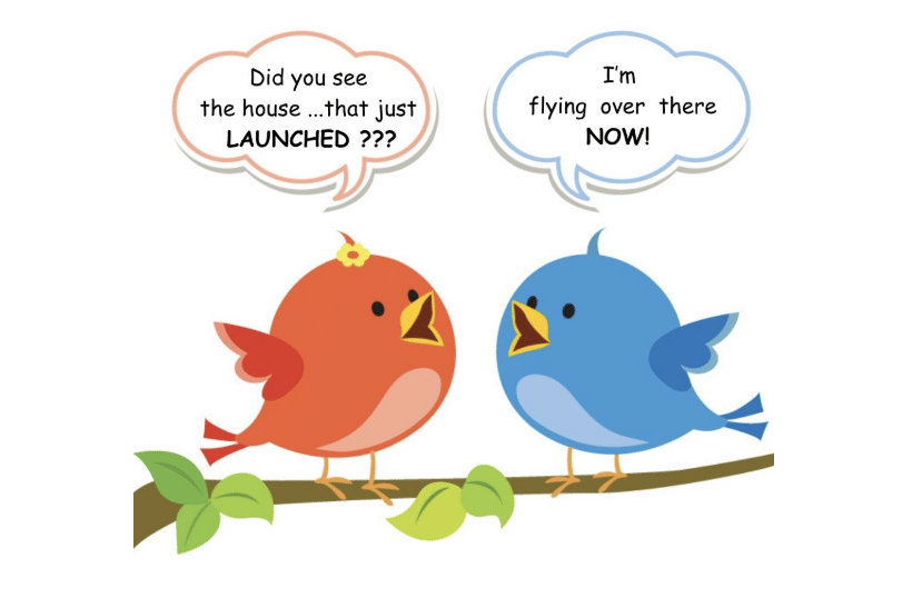 2 birds talking about the spring housing market